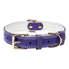 DAIHAQIKO collar de cuero genuino con hebilla metálica para paseos diarios