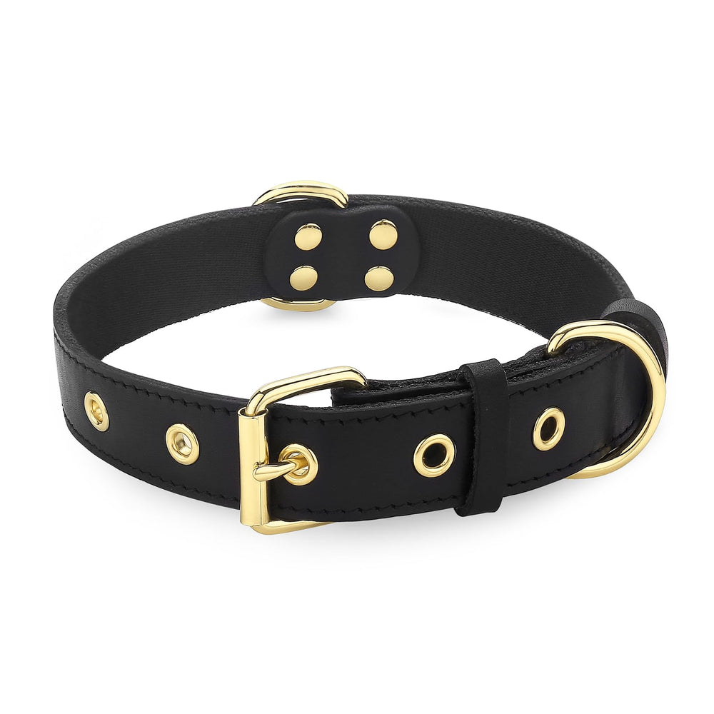 DAIHAQIKO collar cuero con hebilla metálica y ajuste seguro para paseos