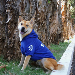 Sudadera DAJIDALI para perro en invierno, colores y tallas variadas.