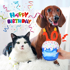 Dansydaisy diseño-3d-pastel-perro, tema de fiesta único para perros.