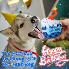 Dansydaisy juguete-cumpleanos-perro azul 3d, diseño llamativo para fiestas.