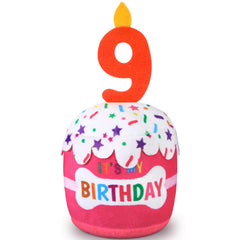Dansydaisy juguete torta de cumpleaños para perros, enfoque en diseño tridimensional y color rosa.