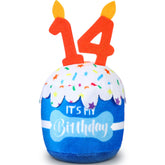 Dansydaisy pastel-cumpleanos-perro-14-azul: pastel festivo para cumpleaños de perros de todos los tamaños.