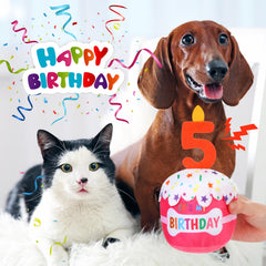 Dansydaisy talla-20x9cm-perro: tamaño adecuado para perros de todos los tamaños.
