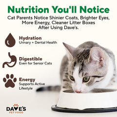 Dave's Pet Food porción servida en plato, sabor real para gatos exigentes