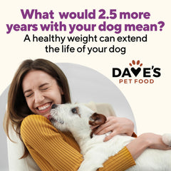 Dave's Pet Food lata de 13-2oz con pavo y verduras listas para comer.