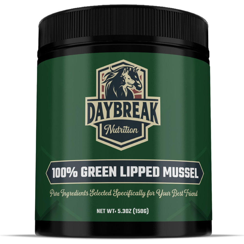 Polvo de mejillón verde de Daybreak Nutrition en botella, ideal para apoyar articulaciones de mascotas.