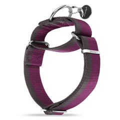 Dazzber collar martingale 1-1-2 pulgadas, diseño ancho para perros grandes y seguros.