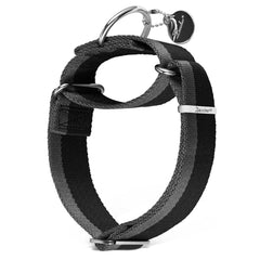 Dazzber collar martingale de 1,5 pulgadas, vista frontal, ideal para evitar escapes.