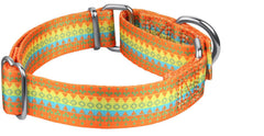 Dazzber collar martingala sin cierre, control suave y evitar escapes.