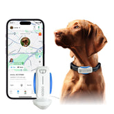 DBDD rastreador GPS para perros con localización en tiempo real