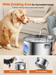 DCIOGAT bebedero con doble flujo para promover la hidratación entre varias mascotas.