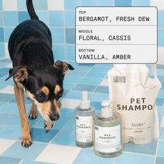 DedCool Pet Fragrance 01 Taunt: detalle de aroma para espacios frescos en casa