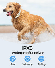 Delupet collar eléctrico IPX8 es resistente al agua para entrenamiento bajo lluvia