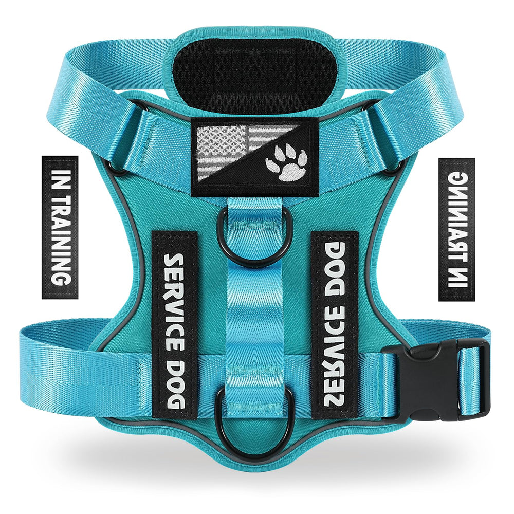 Arnés Demigreat para perro de servicio, vista trasera, distribución de la tracción para comodidad