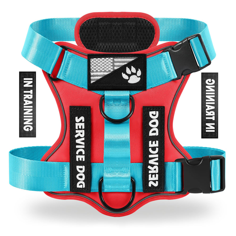 Demigreat arnés para perro de servicio con reflectante para paseos nocturnos.