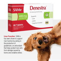 Denestra Same, sabor hígado, aroma agradable para perros, favorece consumo diario.