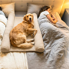 DenMate diseño patentado mantiene al perro junto a su dueño durante la noche.