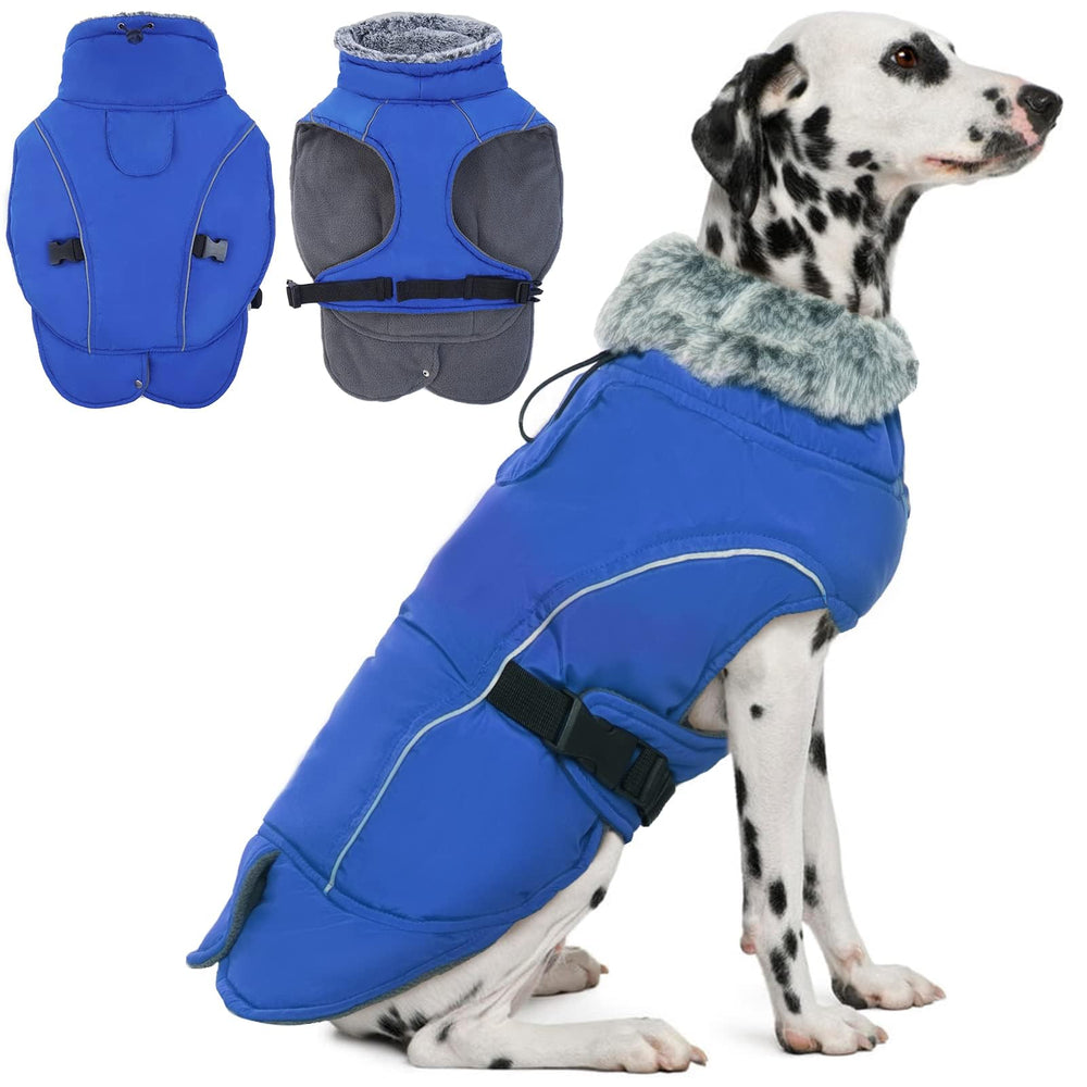 DENTRUN abrigo para perros, vista general, cálido y cómodo para paseos en frío