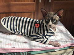 Camiseta DENTRUN para gatos sin pelo, rayas naranjas, protección UV para aventuras.