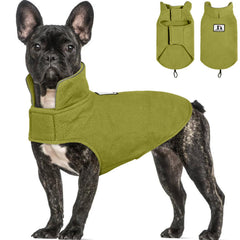DENTRUN capa reversible para perro, protección contra viento en paseos.