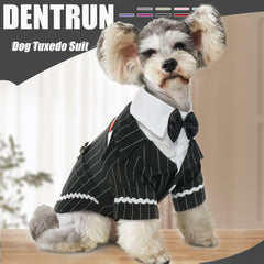 DENTRUN tuxedo con rayas verticales, diseño elegante para eventos especiales.