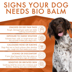 Aplicación suave del bálsamo Dermoscent Bio en patas