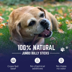 Devil Dog Pet Co. palitos de res alimentada con pasto, ingrediente unico para snack natural