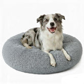 DFQ cama dona lavable para perro mediano, confort suave y fácil limpieza.