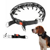 DFQ collar de entrenamiento en acero inoxidable con cierre rápido para paseos controlados