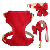 Didog arnés collar con lazo detalle, ideal para paseos con estilo.