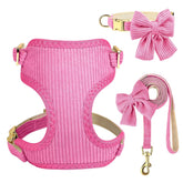 Didog arnés con lazo rosa intenso para paseos y sesiones de fotos