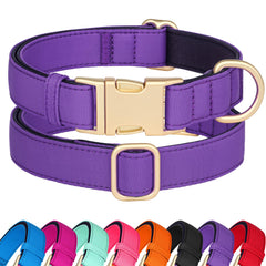 Didog collar grande con cierre rápido, ideal para paseos diarios.
