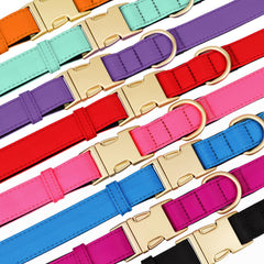 Didog collar de nylon ecológico con forro transpirable para uso diario.