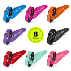 Didog collar nylon reciclado: opción sostenible para paseos responsables.
