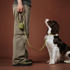 Didog collar ancho 1¼ pulgadas para perros de gran tamaño