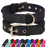 Didog collar acolchado para perros medianos con hebilla de metal, paseos cómodos.