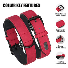 Didog collar rojo XL con hebilla resistente y ajuste de cinco agujeros.