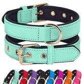 Didog collar varios-colores para estilo y visibilidad en paseos diarios.