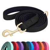 Correa Didog de nylon colorida, 5 ft, acolchado cómodo a lo largo