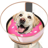 Didopet collar inflable para perros con cono seguro durante la recuperación.