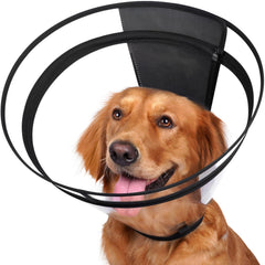 Didopet collar de recuperación, vista frontal, sin bloquear la visión del perro.