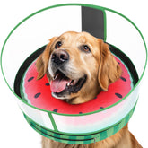 Didopet cono inflable para perro protege la herida sin impedir la respiración