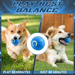 Diehous Pelota con luz LED para juegos nocturnos de perros.