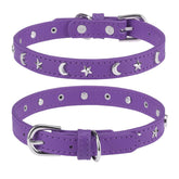Collar de cuero DILLYBUD para perro pequeño, suave y fácil de limpiar.