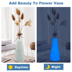 Piedras luminosas elípticas de Dinastía Kaiyuan para macetas y arreglos decorativos.