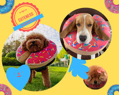Detalle inflable del collar donut rosa de Dirty Little Paws para recuperación suave.