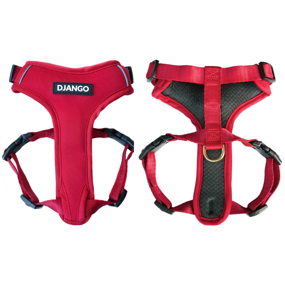 Arnés DJANGO Aventura para perro mediano visto de frente, cómodo y seguro para paseos.