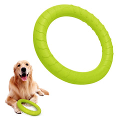 DLDER disco volador grande para perros, ideal para lanzar y atrapar.