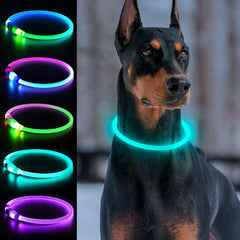 Collar LED DLITK para perros en color cian mejora la localización nocturna